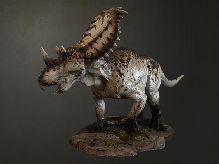 Chasmosaurus Crecy Models