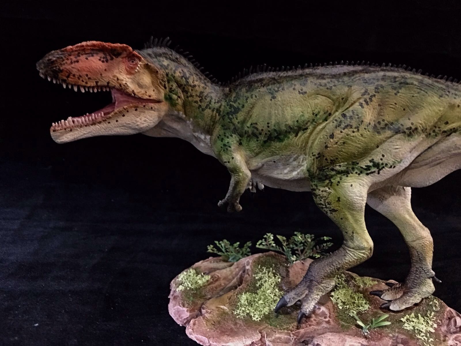 Гигантозавр против. Гигантозавр. Giganotosaurus Primeval. Papo Гиганотозавр. Гигантозавр днд5.