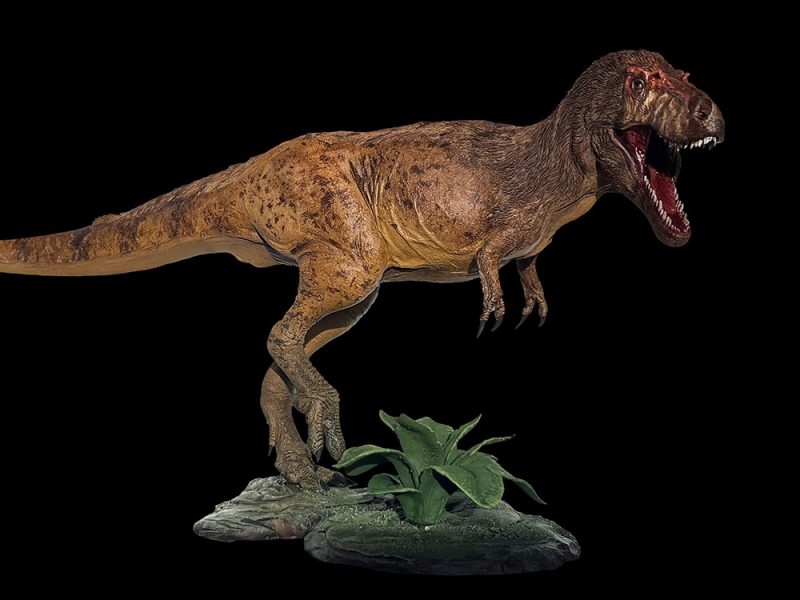 Gorgosauro - Image 2
