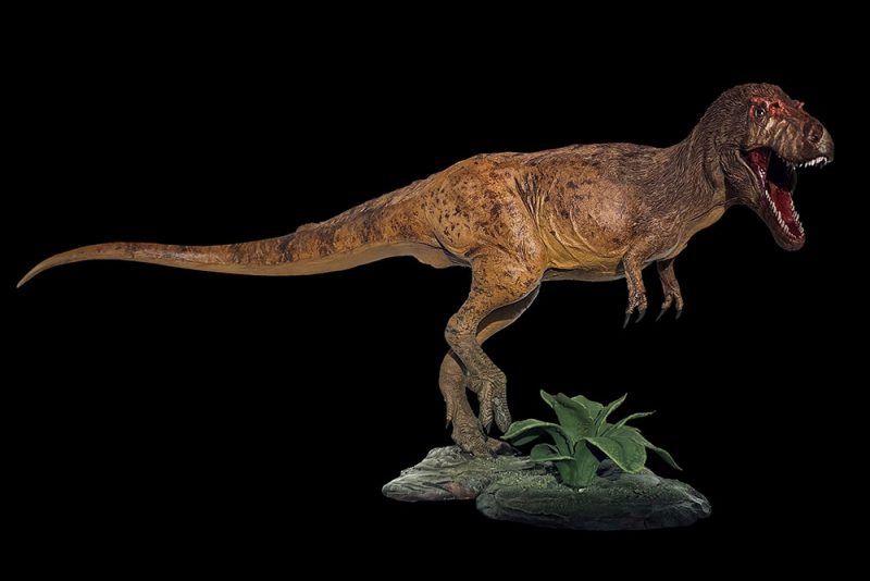 Gorgosauro