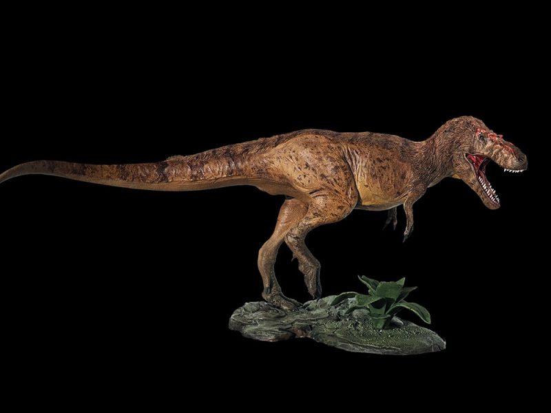 Gorgosauro - Image 3