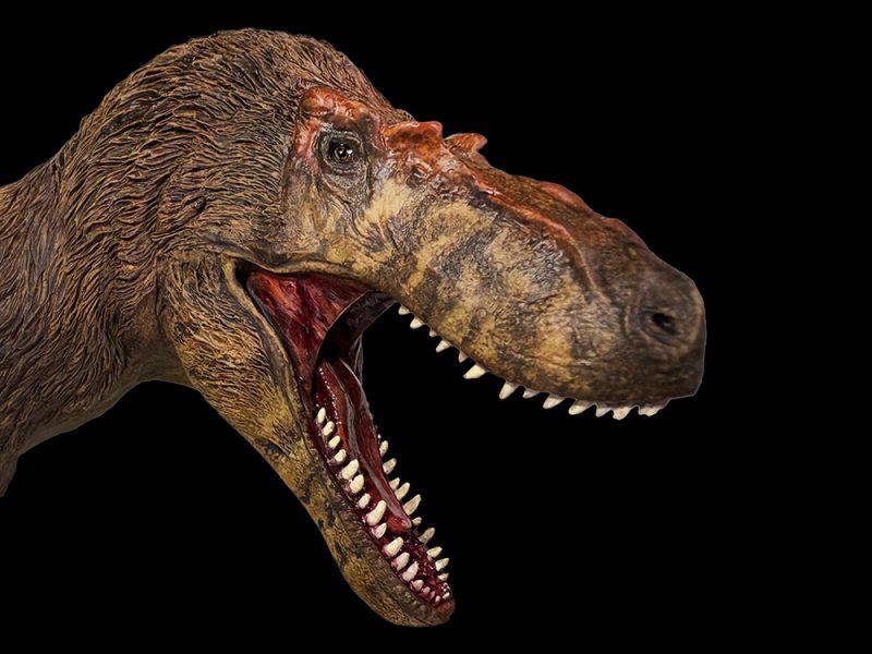 Gorgosauro - Image 4