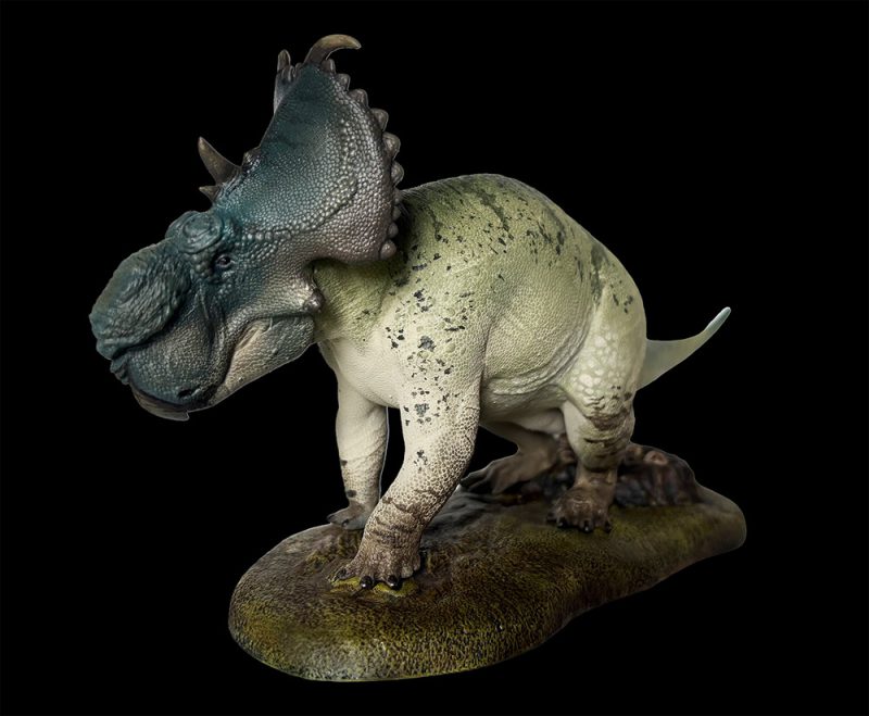 Pachyrhinosaurus - Image 2