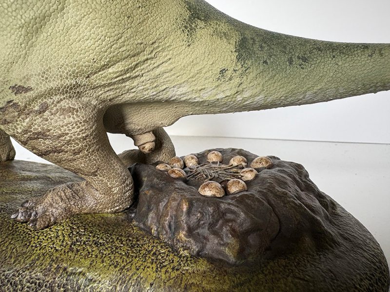 Pachyrhinosaurus - Image 3