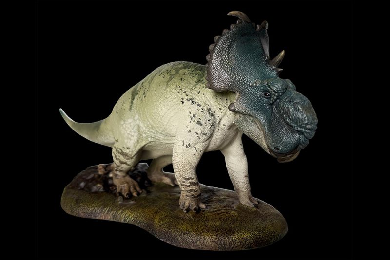 Pachyrhinosaurus