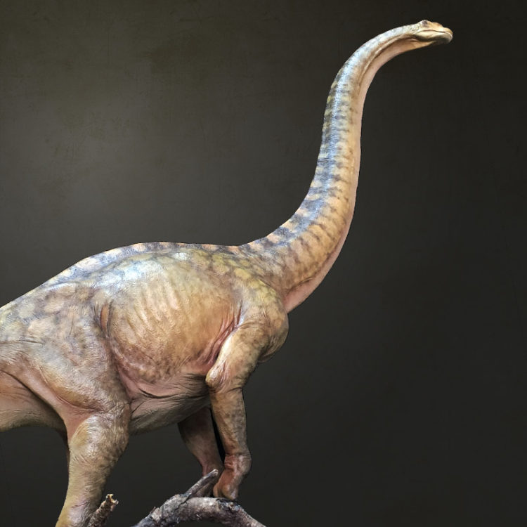 Argentinosaurus | Crecy Models