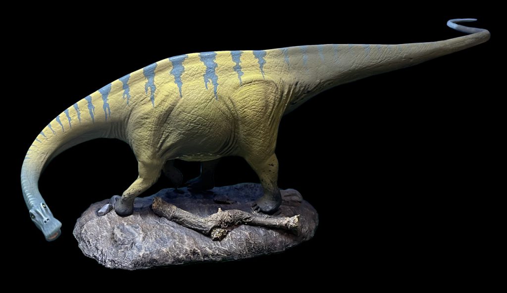 Nigersaurus | Crecy Models