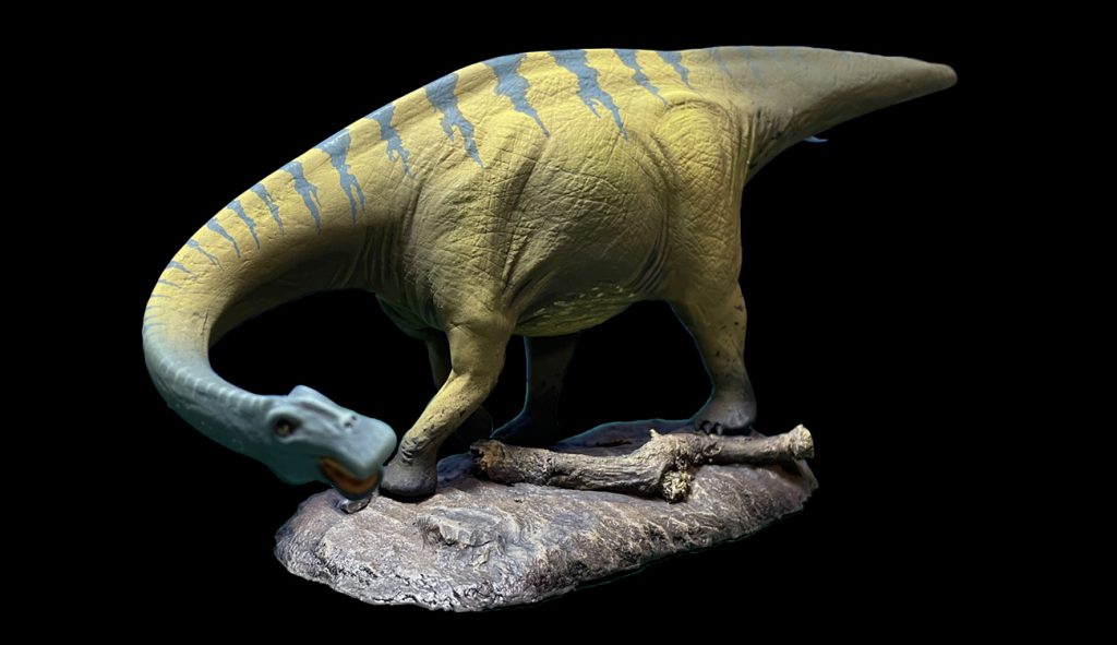 Nigersaurus | Crecy Models