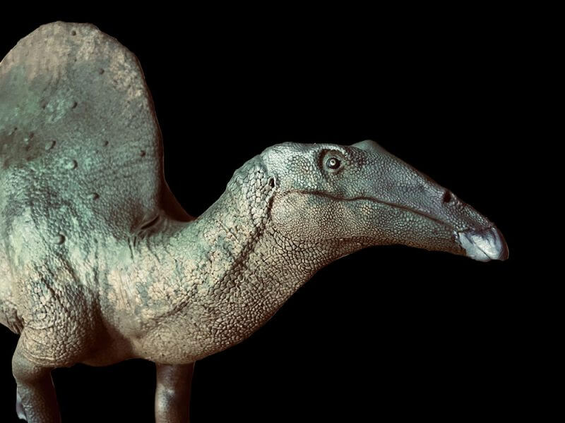 Ouranosauro